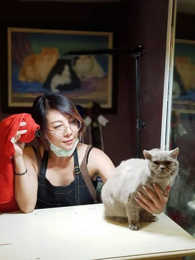 Cathotel99 (แคทโฮเทล99) Cat Hotel&Grooming 9