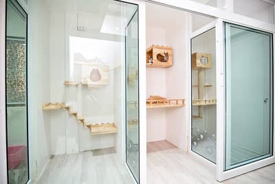 Moji Cat Hotel (มูจิ แคท โฮเทล) Cat Hotel 8