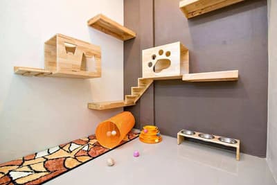 Moji Cat Hotel (มูจิ แคท โฮเทล) Cat Hotel 9