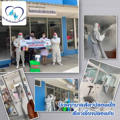 Petworld VR (โรงพยาบาลสัตว์เพ็ทเวิล์ด วิภารัชดา) 8