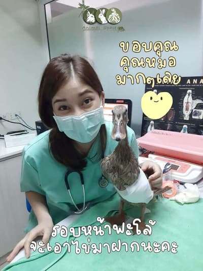 Animal Space Hospital (โรงพยาบาลสัตว์แอนิมอลสเปซ) 6
