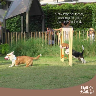 Trail and Tail (สุขุมวิท) 4