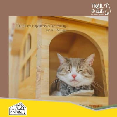 Trail and Tail (สุขุมวิท) 7