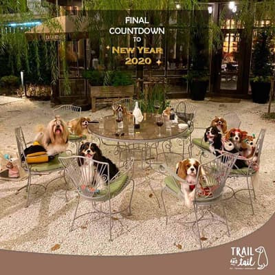 Trail and Tail (สุขุมวิท) 9