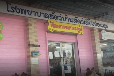 โรงพยาบาลสัตว์บ้านสัตว์เลี้ยงอ่อนนุช 1