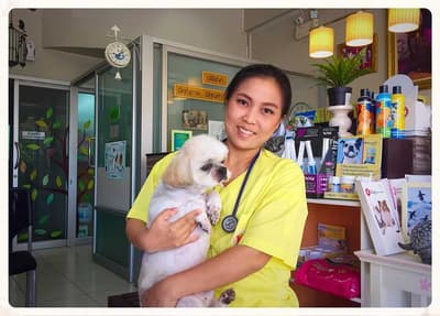 โรงพยาบาลสัตว์ มีคุณ (บ้านกล้วย-ไทรน้อย) 5