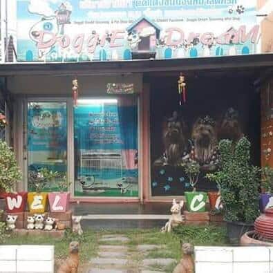 Doggie Dream Grooming (บางบอน) 2