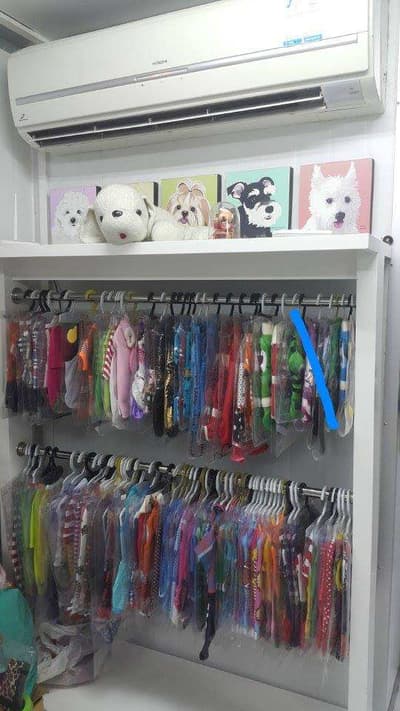 Doggie Dream Grooming (บางบอน) 3