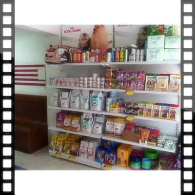 Pradiphat Vet Clinic (ประดิพัทธ์สัตวแพทย์) 3