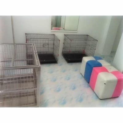Pradiphat Vet Clinic (ประดิพัทธ์สัตวแพทย์) 4