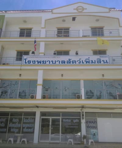 โรงพยาบาลสัตว์เพิ่มสิน Permsin Vet Hospital 1
