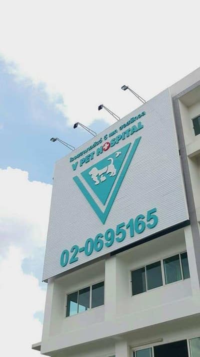 V PET HOSPITAL (โรงพยาบาลสัตว์วี เพท ฮอสพิทอล) 1