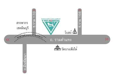 V PET HOSPITAL (โรงพยาบาลสัตว์วี เพท ฮอสพิทอล) 2
