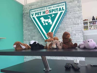 V PET HOSPITAL (โรงพยาบาลสัตว์วี เพท ฮอสพิทอล) 3
