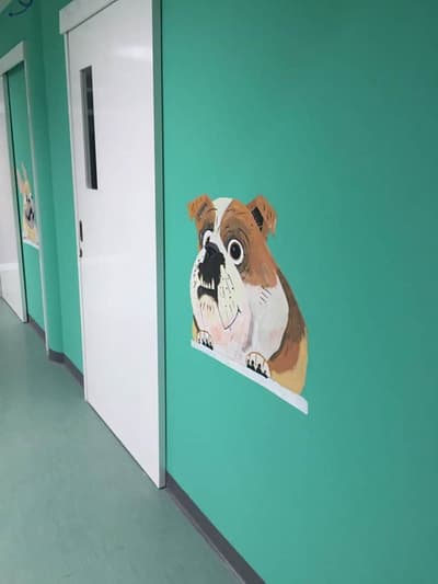 V PET HOSPITAL (โรงพยาบาลสัตว์วี เพท ฮอสพิทอล) 4