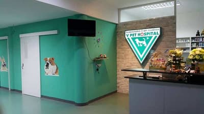 V PET HOSPITAL (โรงพยาบาลสัตว์วี เพท ฮอสพิทอล) 5