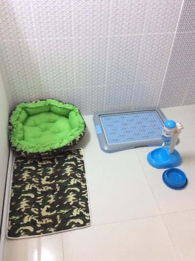 The living dog hotel (อินทามระ 47) 1