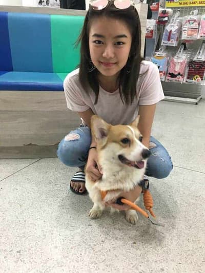 โรงพยาบาลสัตว์พระราม 3 (Rama III Animal Hospital) 3