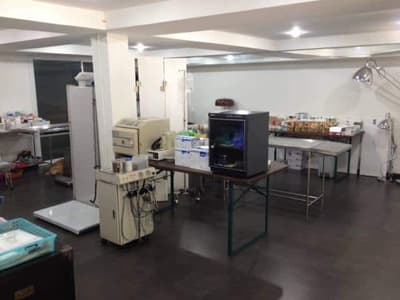 โรงพยาบาลสัตว์สุขุมวิท 49 (Sukhumvit 49 Veterinary Hospital) 1
