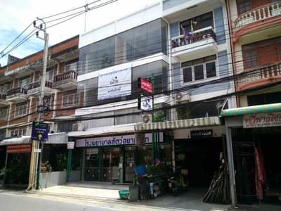 โรงพยาบาลสัตว์สยามเพ็ท Siam Pet Animal Hospital 4