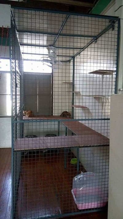โรงแรมสุนัขและแมวบ้านเพราะรัก 6