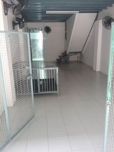 โรงแรมสุนัขและแมวบ้านเพราะรัก 4