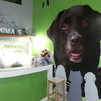 Animal Farm Veterinary Hospital (โรงพยาบาลสวนสัตว์) 1