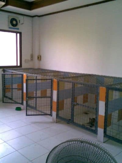 โรงพยาบาลสัตว์ร่มฤดีสัตวแพทย์ (ลาดพร้าว-วังหิน) 2