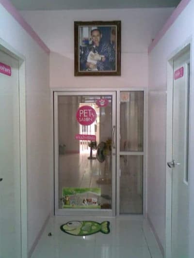 โรงพยาบาลสัตว์ร่มฤดีสัตวแพทย์ (ลาดพร้าว-วังหิน) 3