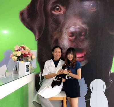 Animal Farm Veterinary Hospital (โรงพยาบาลสวนสัตว์) 2