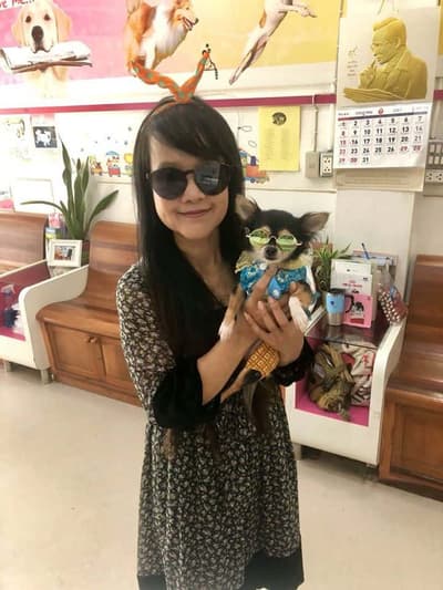 Pradiphat Vet Clinic (ประดิพัทธ์สัตวแพทย์) 6
