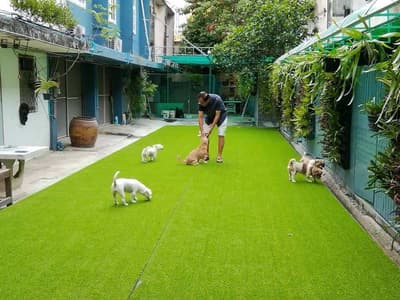 โรงแรมสุนัขและแมวบ้านเพราะรัก 3