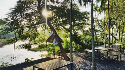 Prem Cafe In the Garden (ปทุมธานี) 2