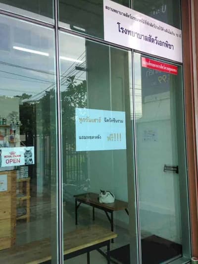 โรงพยาบาลสัตว์เอกพิชา (Eakpicha Pet Hotpital) 1