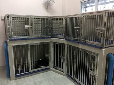โรงพยาบาลสัตว์ลาดปลาดุก LPD Pet Hospital 1