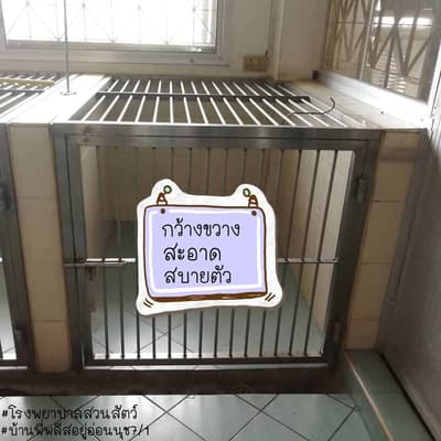 Animal Farm Veterinary Hospital (โรงพยาบาลสวนสัตว์) 3