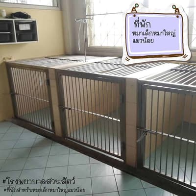 Animal Farm Veterinary Hospital (โรงพยาบาลสวนสัตว์) 4