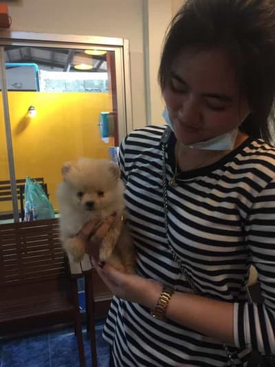 หมอเดียวใจดีสัตวแพทย์ (จตุจักร) 3