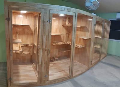 โรงพยาบาลสัตว์ลาดปลาดุก LPD Pet Hospital 4
