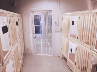 Rak Na Chan (โรงพยาบาลสัตว์รักษ์ ณ จันทน์) 4