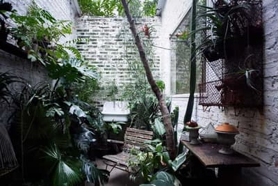 Little Tree Garden Cafe (สามพราน) 6