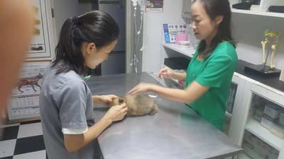 โรงพยาบาลสัตว์มิตรสัมพันธ์ (สาย2) 3