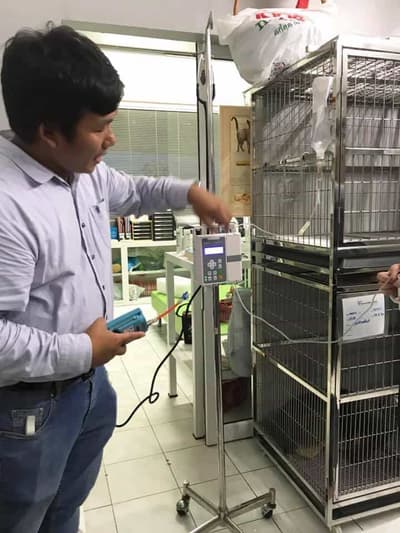 Vet Care Animal Hospital (โรงพยาบาลสัตว์เวทแคร์) 2