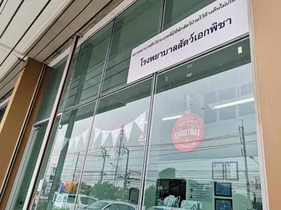 โรงพยาบาลสัตว์เอกพิชา (Eakpicha Pet Hotpital) 3