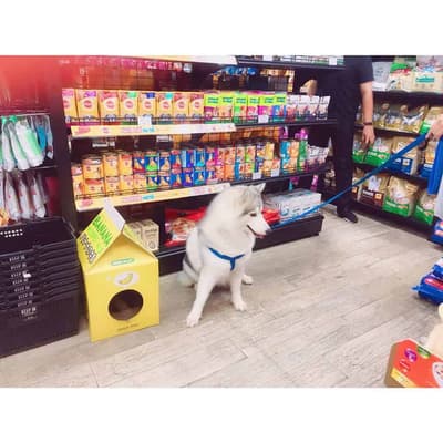 Rainbow Pet Shop (เทสโก้โลตัส รังสิต) 1