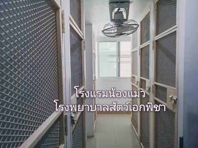 โรงพยาบาลสัตว์เอกพิชา (Eakpicha Pet Hotpital) 4