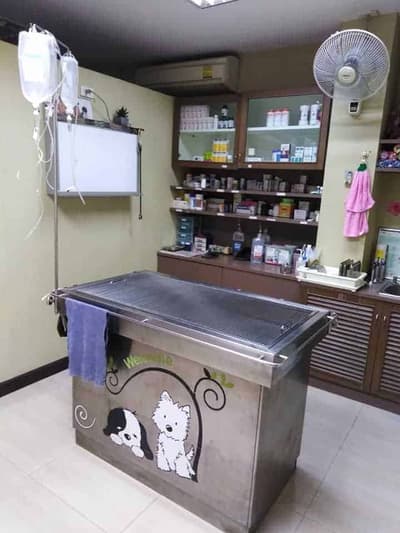 Singhasaneh Animal Hospital (โรงพยาบาลสัตว์สิงห์เสน่ห์) 3