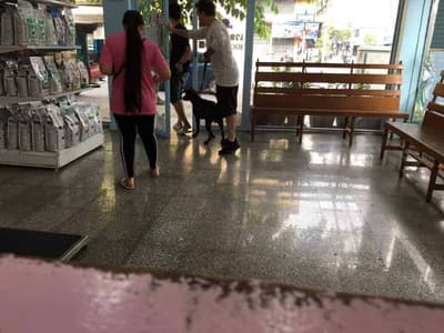 โรงพยาบาลสัตว์โชคชัย4 3