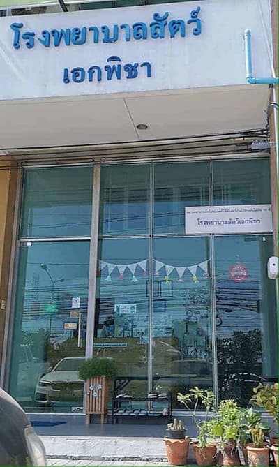 โรงพยาบาลสัตว์เอกพิชา (Eakpicha Pet Hotpital) 6