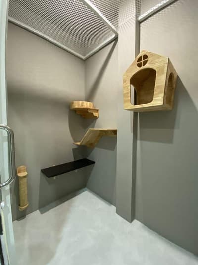 Nhamaew Cat Hotel (โรงแรมแมว หน้าแมว) 3